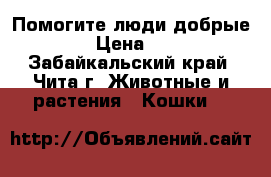 Помогите люди добрые  › Цена ­ 1 - Забайкальский край, Чита г. Животные и растения » Кошки   